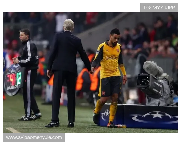 水晶宫队的管理层决策与球队运营策略探讨