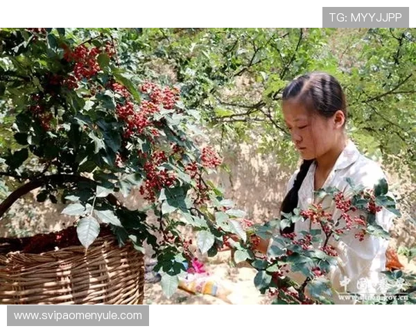 澳门汇才为企业提供专业人才招聘与培训服务，助力企业快速发展壮大