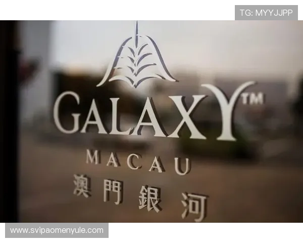 澳门银河国际网站游戏种类丰富多样满足不同玩家的娱乐需求