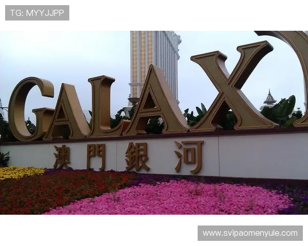 澳门银河官网网址最新版本更新内容，了解游戏优化与新增功能