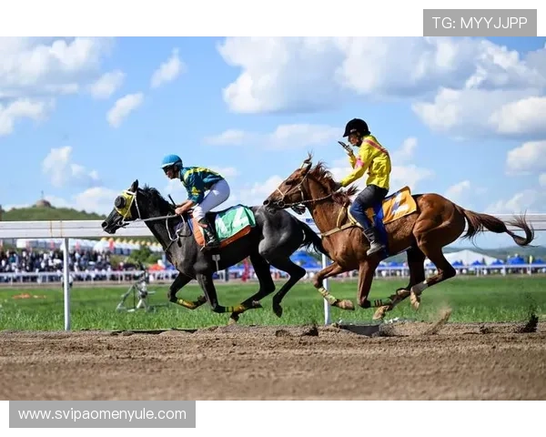 提升线上赛马体验的赛马会网页版操作指南与实用技巧推荐 提升线上赛马体验的赛马会网页版操作指南与实用技巧推荐