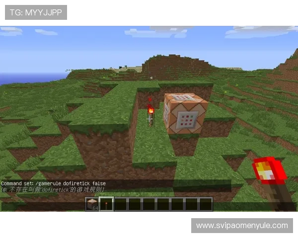 海洋之神官网真人游戏详细规则与操作流程解析