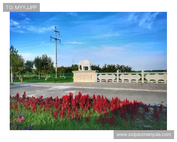 博乐真人官网网站首页:博乐真人平台官网首页的最新公告与重要通知整体解析 博乐真人官网网站首页:博乐真人平台官网首页的最新公告与重要通知整体解析