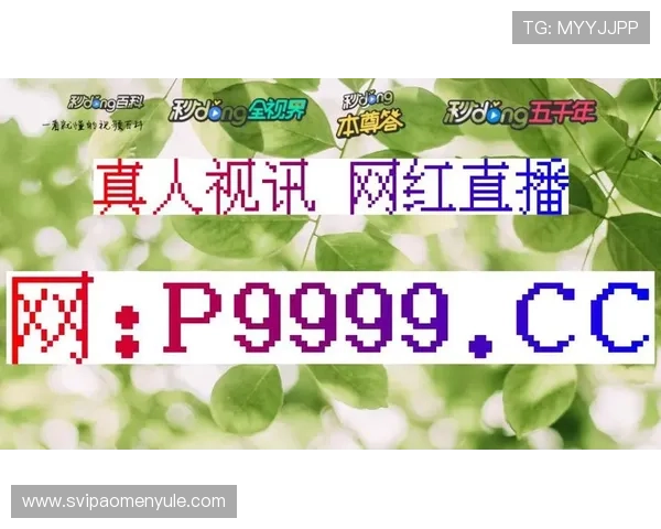 最新普及的bg真人对接平台有哪些，详细介绍每个平台的特色与优势帮助用户更好选择