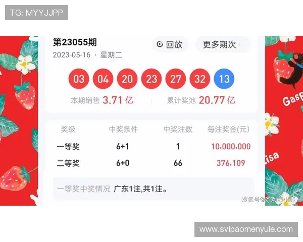 澳门开奖中文站提供详细的遗漏分析，帮助玩家提升彩票中奖率