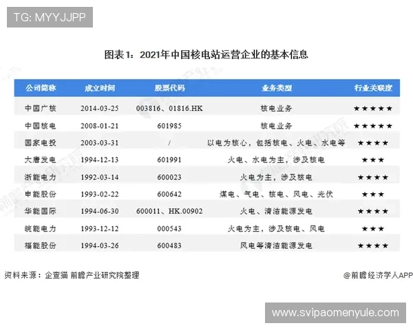 世界杯荷兰队防守能力分析：战术布局与关键球员的表现详解